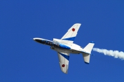 2012iruma0006