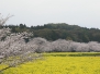 Saitobaru Burial Mounds 