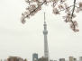 TOKYO-SKYTREE